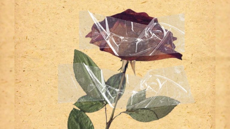 As if nothing cover photo (1)